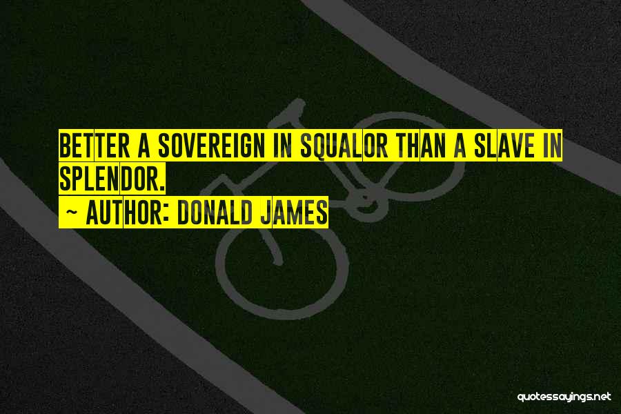 Slave Quotes By Donald James