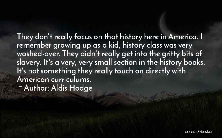 Slavery In America Quotes By Aldis Hodge