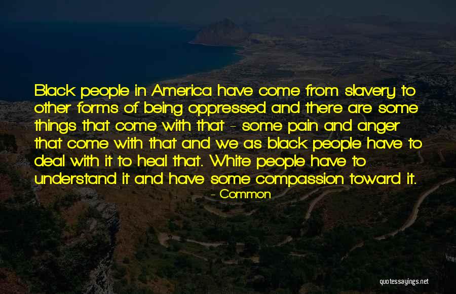 Slavery In America Quotes By Common