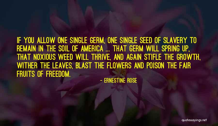 Slavery In America Quotes By Ernestine Rose