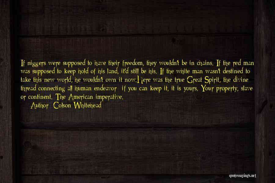 Slavery In The United States Quotes By Colson Whitehead