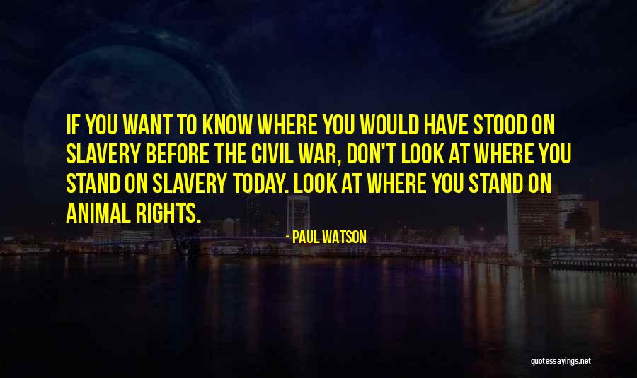 Slavery Today Quotes By Paul Watson Slavery Today Quotes By Paul Watson