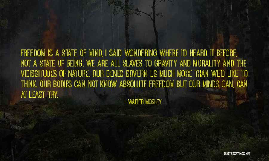 Slaves Freedom Quotes By Walter Mosley