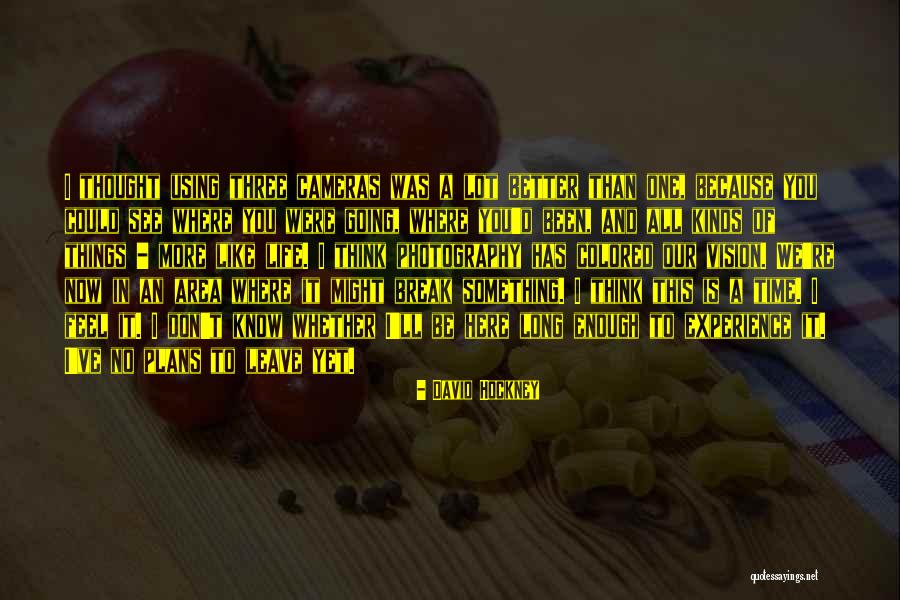 Slavkovsk Quotes By David Hockney Slavkovsk Quotes By David Hockney