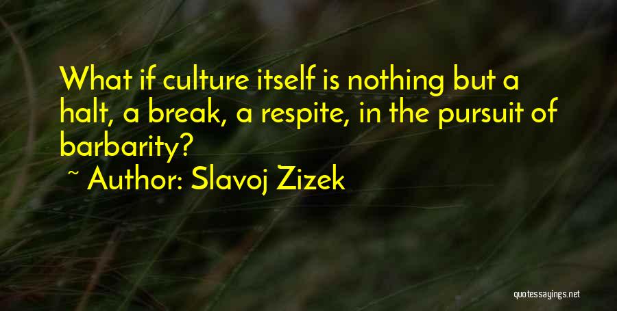 Slavoj Zizek Quotes 1048161