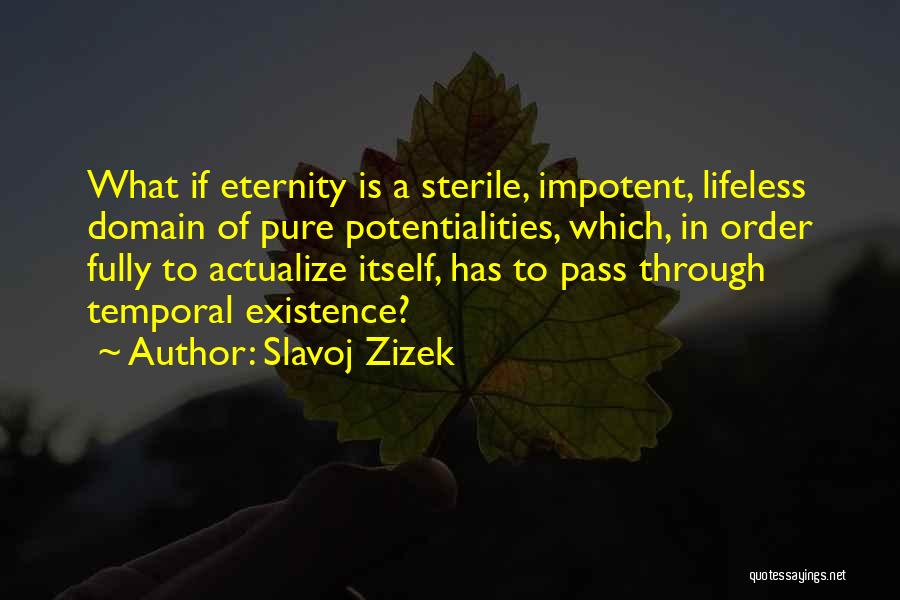 Slavoj Zizek Quotes 1641899