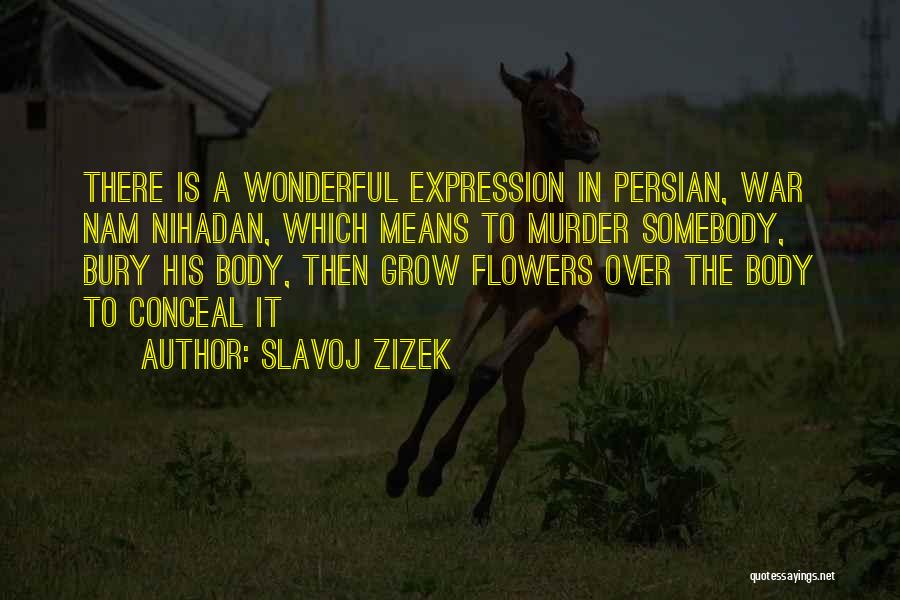 Slavoj Zizek Quotes 2117039