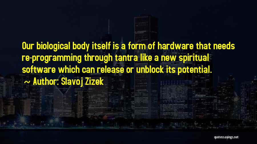 Slavoj Zizek Quotes 984341