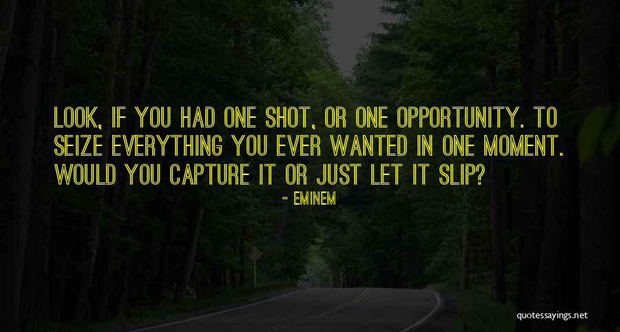 Slavonske Planine Quotes By Eminem Slavonske Planine Quotes By Eminem