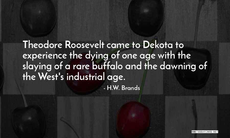 Slaying Quotes By H.W. Brands Slaying Quotes By H.W. Brands