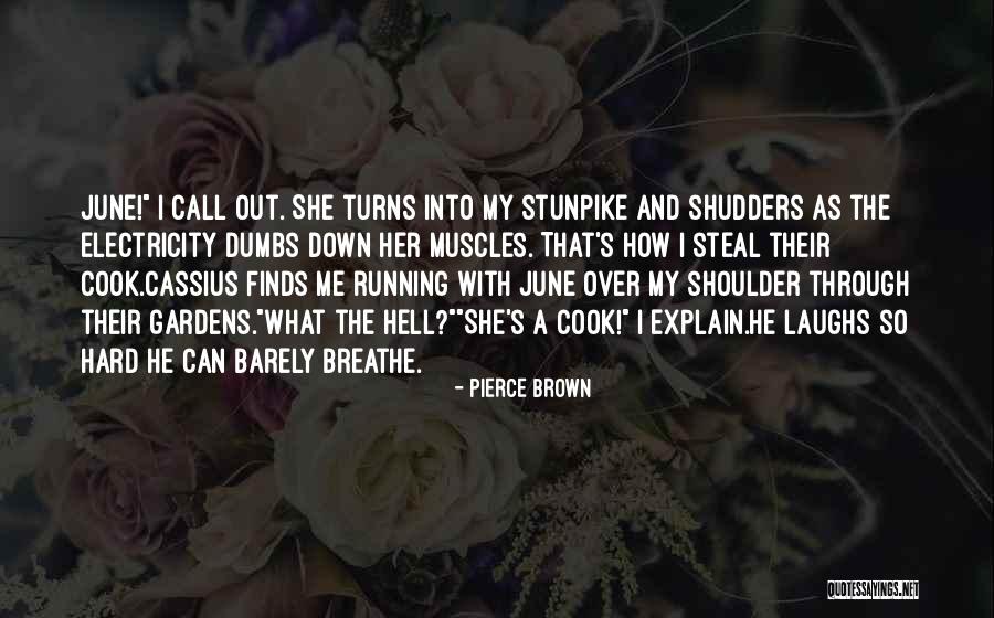 Slaymaker Rentals Quotes By Pierce Brown Slaymaker Rentals Quotes By Pierce Brown