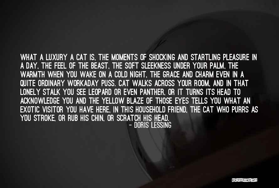 Sleekness Quotes By Doris Lessing Sleekness Quotes By Doris Lessing