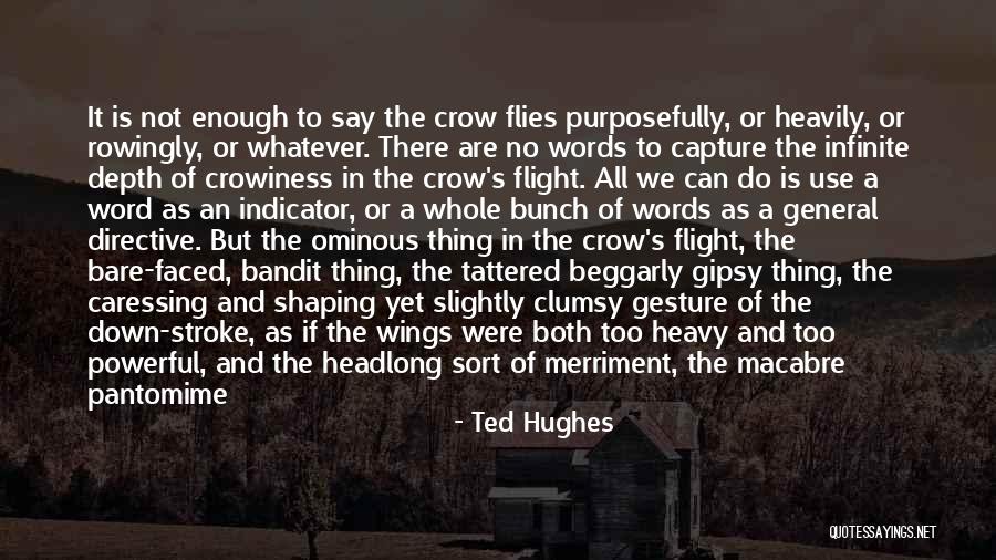 Sleekness Quotes By Ted Hughes Sleekness Quotes By Ted Hughes