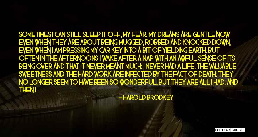 Sleep After Work Quotes By Harold Brodkey Sleep After Work Quotes By Harold Brodkey