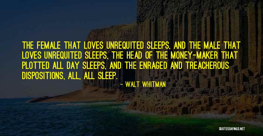 Sleep All Day Quotes By Walt Whitman