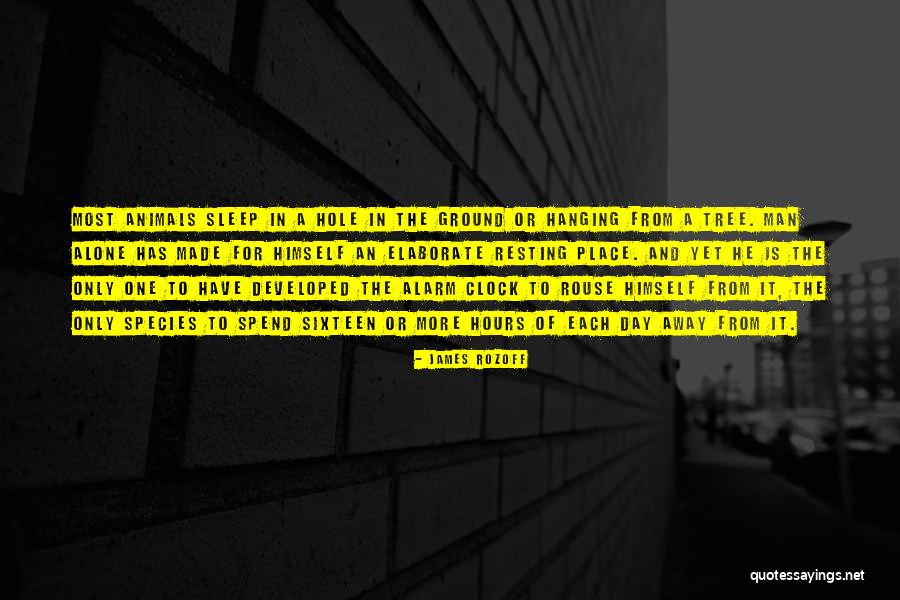 Sleep Alone Quotes By James Rozoff Sleep Alone Quotes By James Rozoff