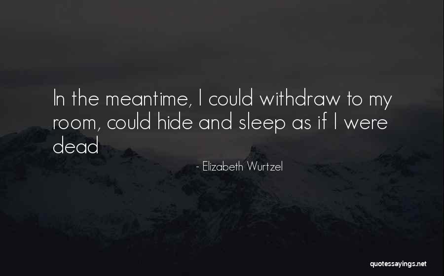 Sleep And Depression Quotes By Elizabeth Wurtzel