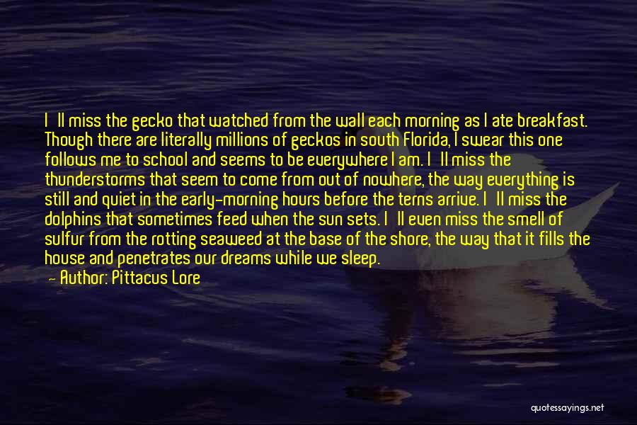 Sleep And Dreams Quotes By Pittacus Lore