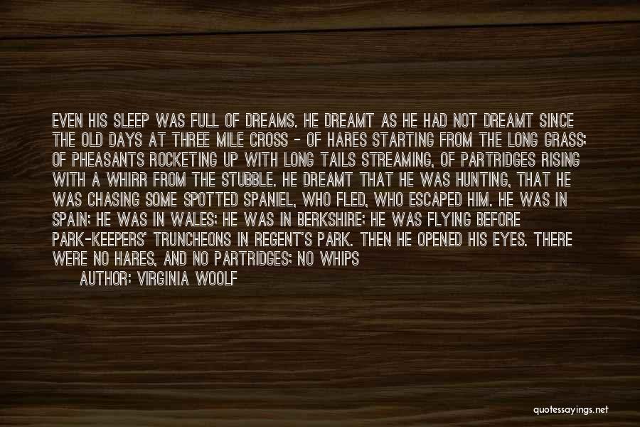 Sleep And Dreams Quotes By Virginia Woolf