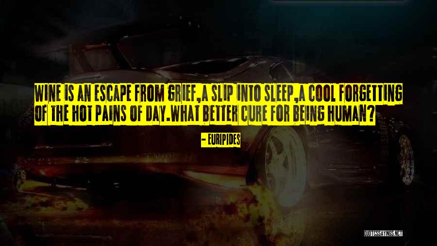 Sleep And Forgetting Quotes By Euripides Sleep And Forgetting Quotes By Euripides