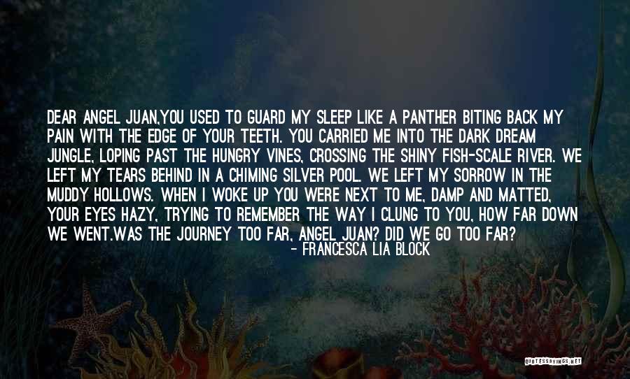 Sleep And Pain Quotes By Francesca Lia Block Sleep And Pain Quotes By Francesca Lia Block