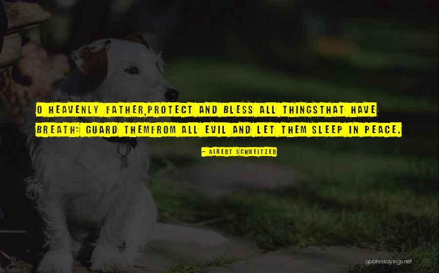 Sleep And Peace Quotes By Albert Schweitzer Sleep And Peace Quotes By Albert Schweitzer