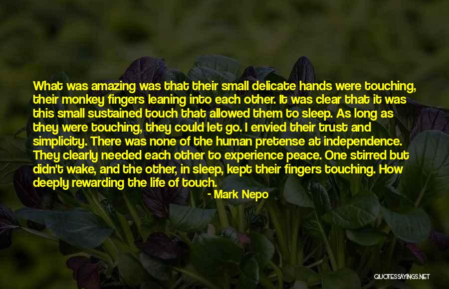 Sleep And Peace Quotes By Mark Nepo Sleep And Peace Quotes By Mark Nepo