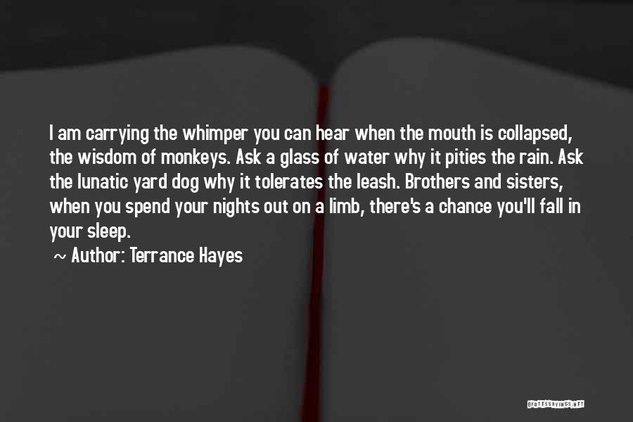 Sleep And Rain Quotes By Terrance Hayes