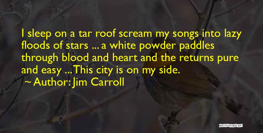 Sleep And Stars Quotes By Jim Carroll