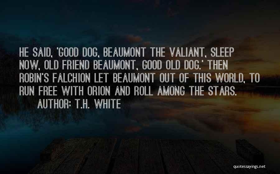 Sleep And Stars Quotes By T.H. White