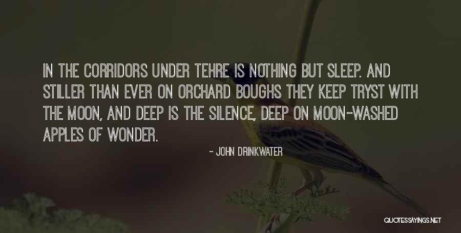 Sleep And The Moon Quotes By John Drinkwater