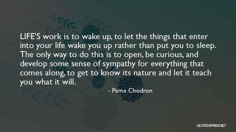 Sleep And Work Quotes By Pema Chodron Sleep And Work Quotes By Pema Chodron
