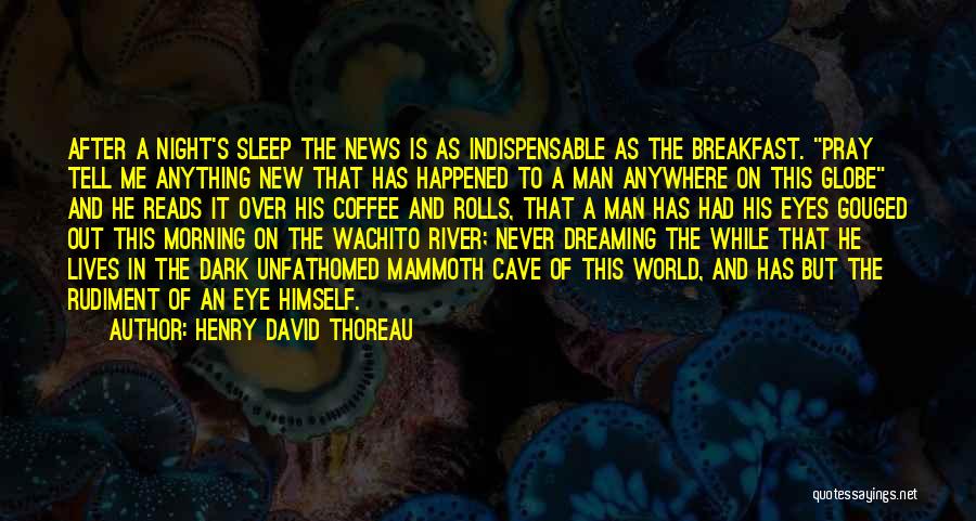 Sleep Anywhere Quotes By Henry David Thoreau