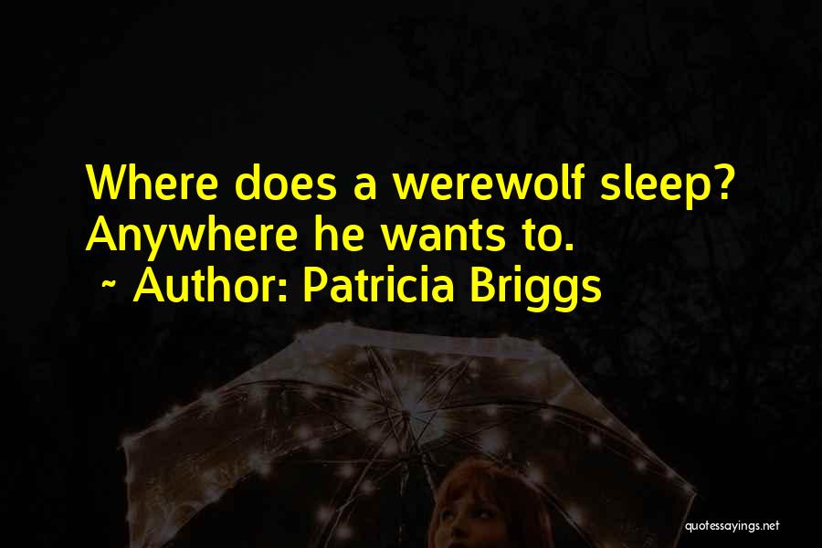 Sleep Anywhere Quotes By Patricia Briggs