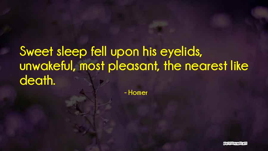 Sleep Death Quotes By Homer Sleep Death Quotes By Homer