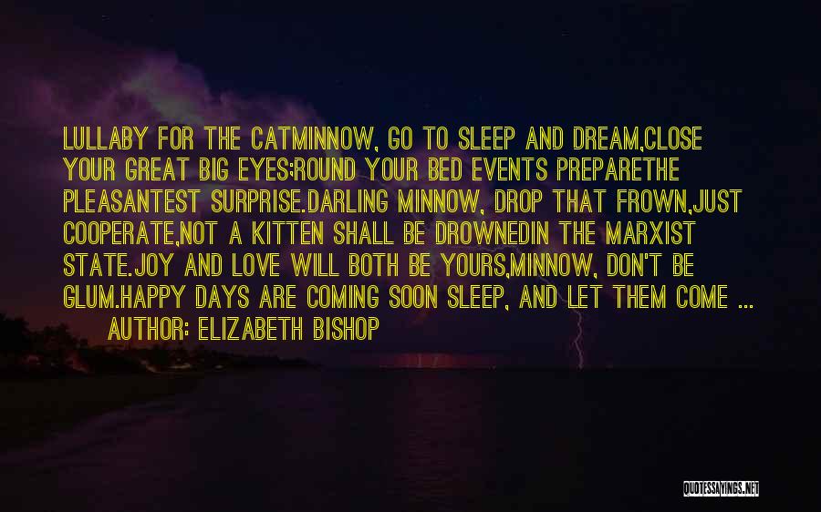 Sleep Dream Love Quotes By Elizabeth Bishop