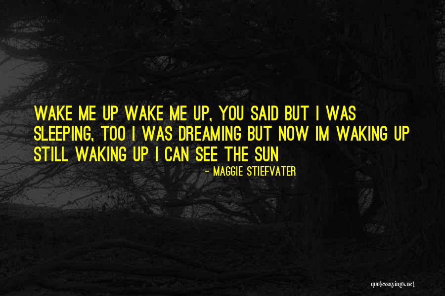 Sleep Dream Quotes By Maggie Stiefvater