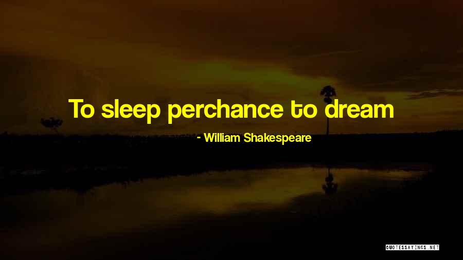 Sleep Dream Quotes By William Shakespeare