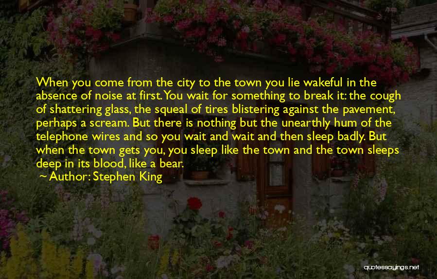 Sleep Like A King Quotes By Stephen King