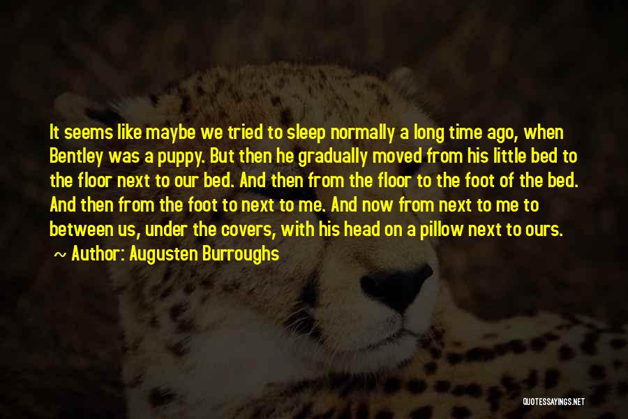 Sleep Pillow Quotes By Augusten Burroughs