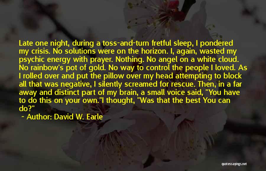 Sleep Prayer Quotes By David W. Earle