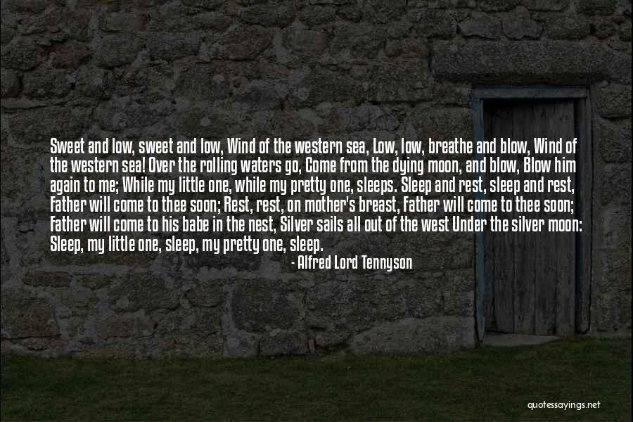 Sleep Rest Quotes By Alfred Lord Tennyson Sleep Rest Quotes By Alfred Lord Tennyson