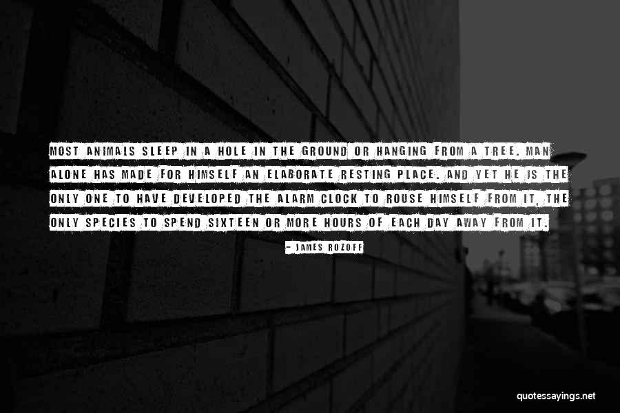 Sleep Rest Quotes By James Rozoff Sleep Rest Quotes By James Rozoff