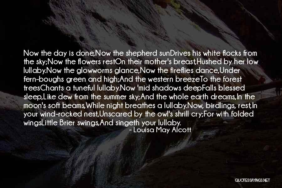 Sleep Rest Quotes By Louisa May Alcott Sleep Rest Quotes By Louisa May Alcott
