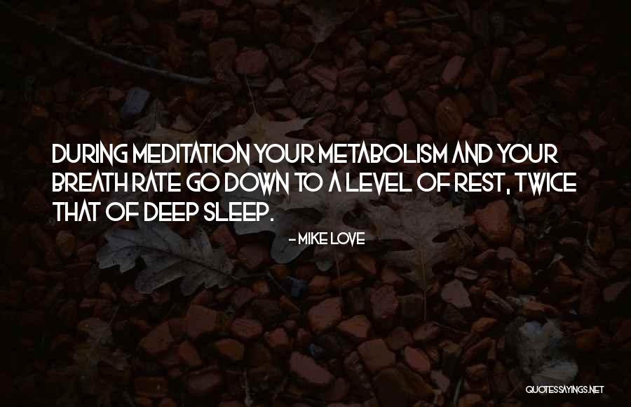 Sleep Rest Quotes By Mike Love Sleep Rest Quotes By Mike Love