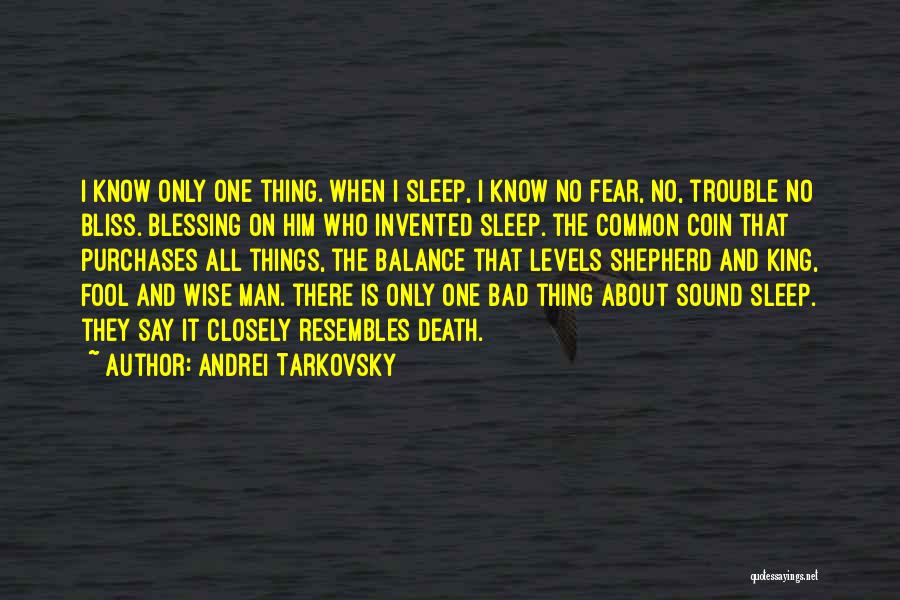 Sleep Sound Quotes By Andrei Tarkovsky