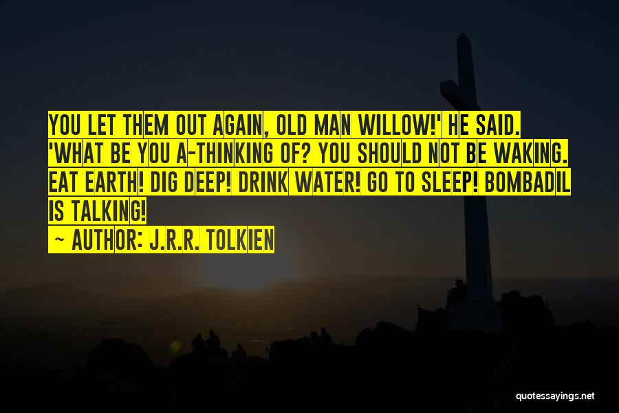 Sleep Talking Quotes By J.R.R. Tolkien