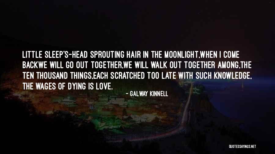 Sleep Ten Quotes By Galway Kinnell Sleep Ten Quotes By Galway Kinnell