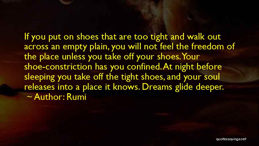 Sleep Tight Quotes By Rumi