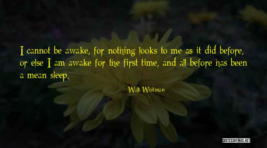 Sleep Time Quotes By Walt Whitman